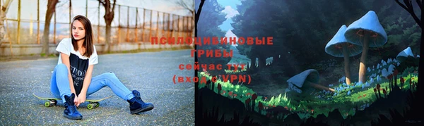 ALPHA-PVP Баксан