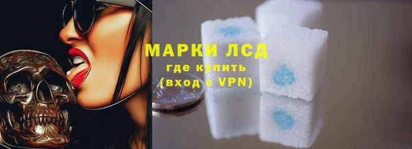 СК Балахна