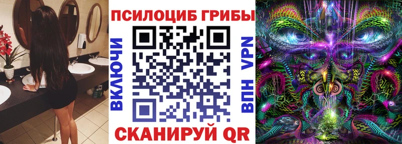 МЕГА сайт  где купить наркоту  Чкаловск  Псилоцибиновые грибы прущие грибы 